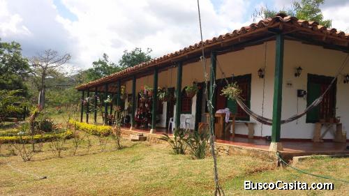 YOTOCO/VALLE VENDO FINCA CAMPESTRE 9.100 mt2 