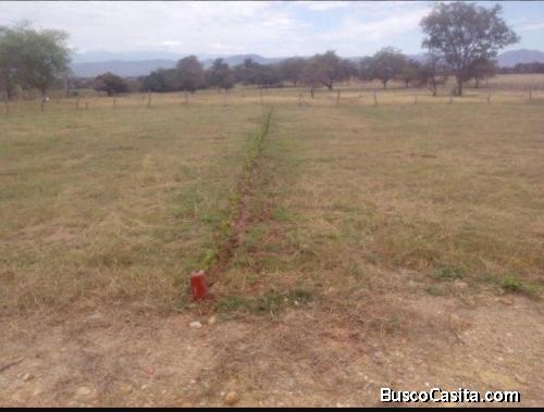 GRAN REBAJONA POR LA PANDEMIA TENGO LOTES ECONOMICOS DE HECTAREA,GIRARDOT VIA RICAURTE-AGUA DE DIOS