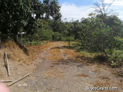 VENDO EXCELENTE LOTE