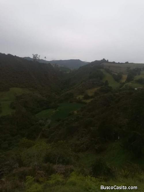 Se vende terreno 5 fanegadas económico