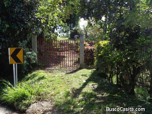 VENDO FINCA EN MARIQUITA 28 HECTAREAS SOBRE LA VIA A FRESNO