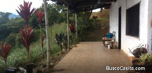 Finca para la venta en Copacabana 