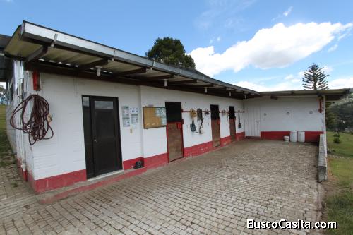 Finca en Guarne vereda el Molino