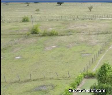 se vende o permuta lote 1500m2 a 2 horas de Bogotá