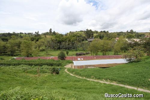 Finca para producción con galpones en Marinilla