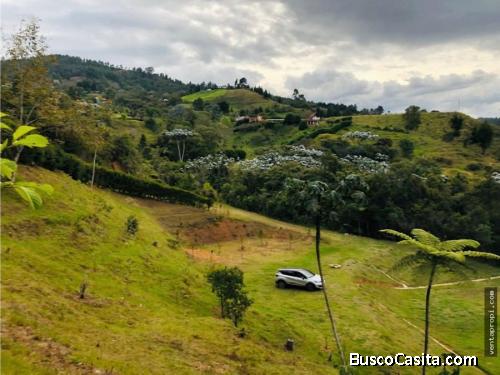 Venta de lote en Guarne vereda Batea Seca