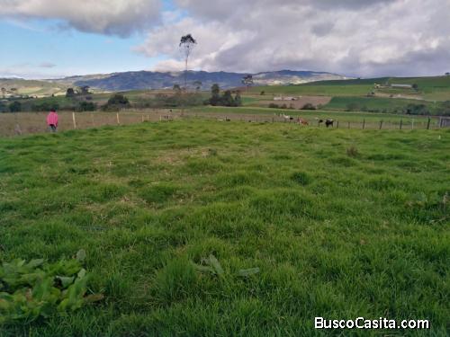 Se vende finca ganadera Villapinzón 5 fanegadas