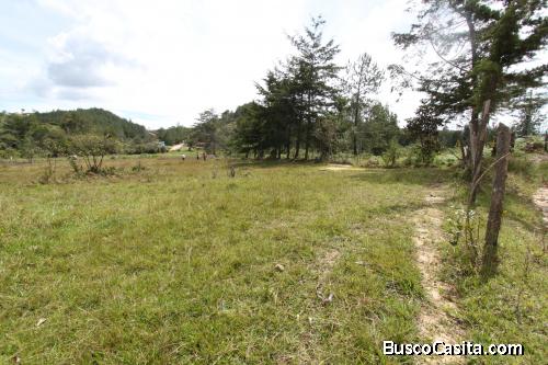 Lote para la venta en Guarne, vereda Ovejas 