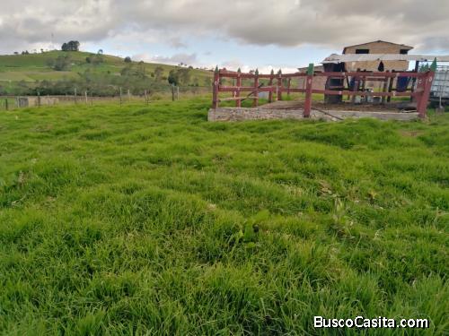 Se vende finca ganadera Villapinzón 5 fanegadas
