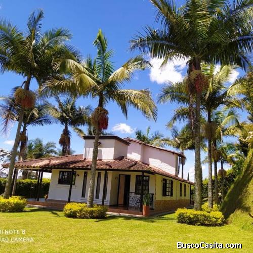 Venta finca en Rionegro vereda barro blanco sector alto vallejo