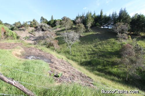 Lote para la venta en Guarne- vereda el Molino