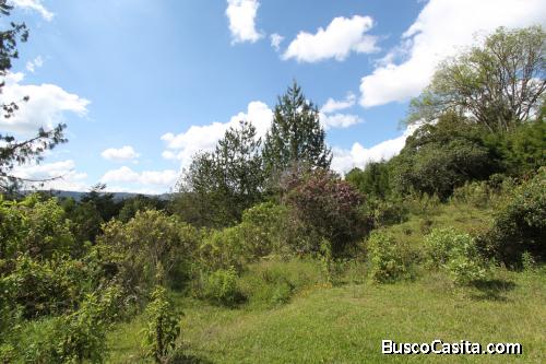 Lote para la venta en Guarne- vereda la clara 