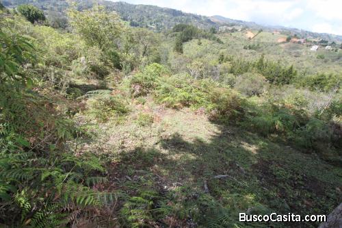 Lote para la venta en Guarne- vereda la mosquita 