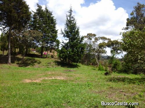 Lote en Guarne vereda San José
