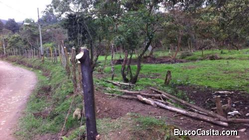 Lote Comercial en Guarne 