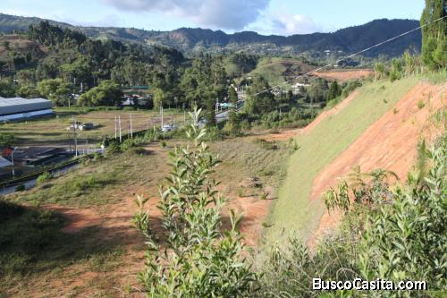 Lote industrial entre el Hipódromo y el aeropuerto