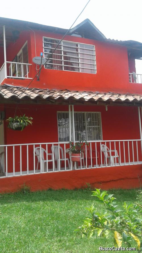 APROVECHE VENDO FINCA EN FREDONIA ANTIOQUIA VEREDA UVITAL