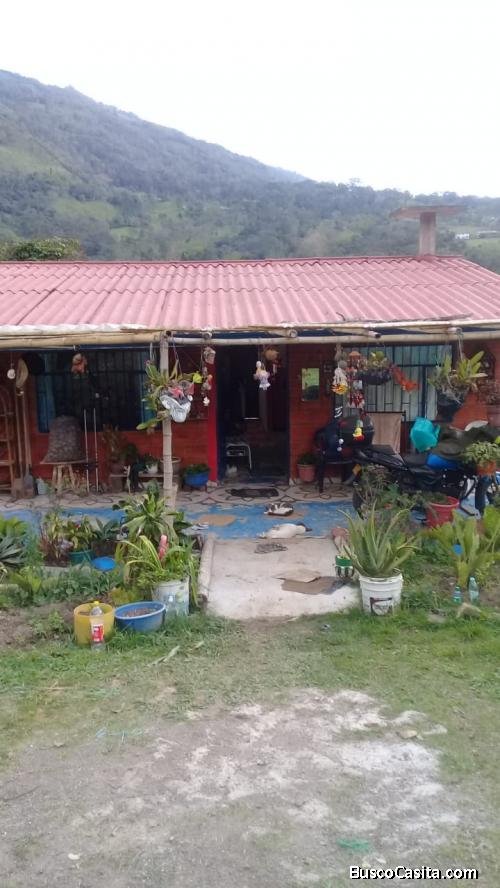 FINCA PEQUEÑA