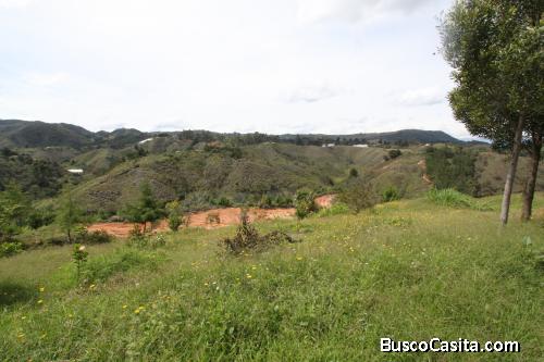 Lote para la venta en Guarne, vereda Ovejas 