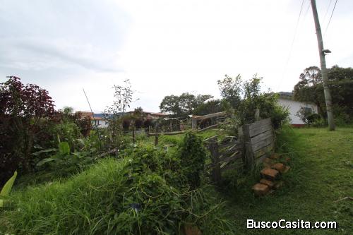 Lote urbano para la venta- la Ceja Antioquia  