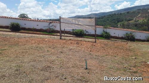 LOTE BARICHARA