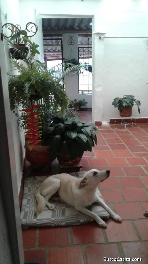 CASA ZAPATOCA