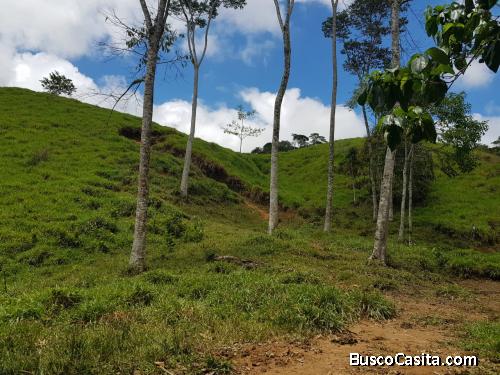 Finca ganadera en San Luis, vereda La Josefina