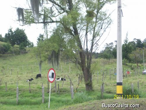 Lote Industrial Vía Rionegro Guarne