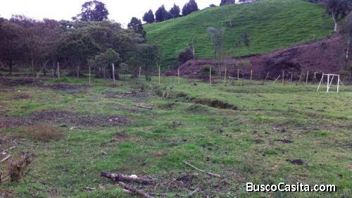 Lote Comercial en Guarne 
