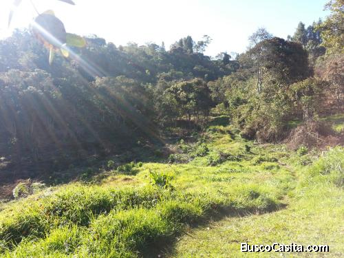 Lote industrial Guarne 75.200 Mtrs2