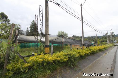 Lote industrial entre el hipódromo y aeropuerto