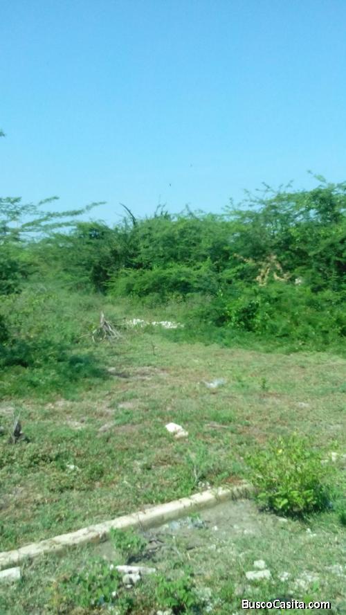 Vendo o permuto lotes en Campo de la Cruz -Atlantico