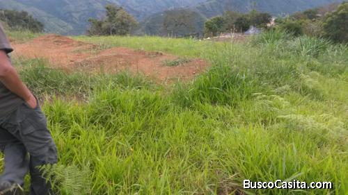 Vena de un lote de terreno en el corregimiento de Palmitas. 