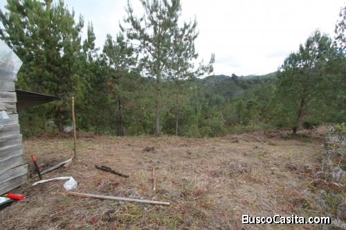 Lote en La Ceja, vía Don Diego