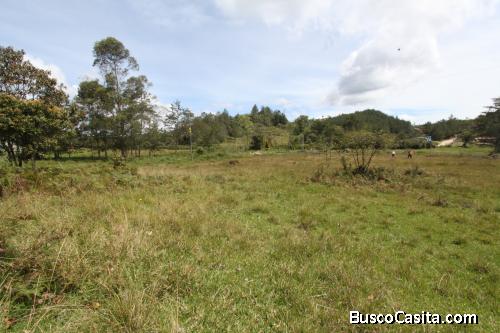 Lote para la venta en Guarne, vereda Ovejas 