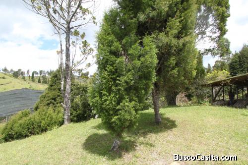 Casa lote en Guarne, vereda Hojas Anchas