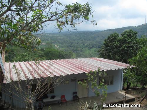 SE VENDE O PERMUTA FINCA EN VIOTÁ