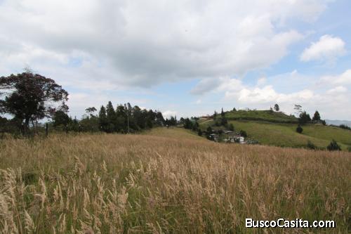 Lote en venta Guarne, vereda San Isidro