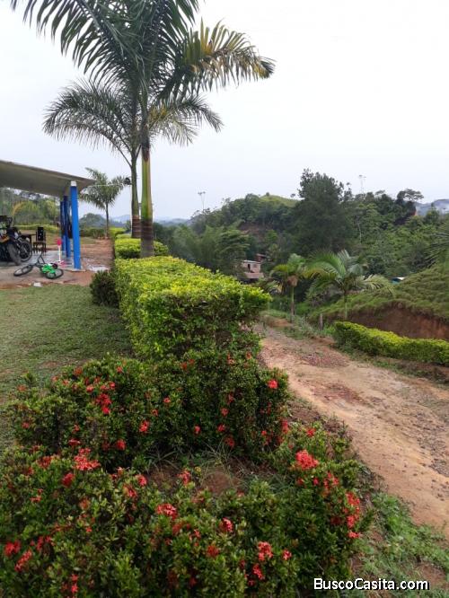Finca ganadera en San Luis, vereda La Josefina