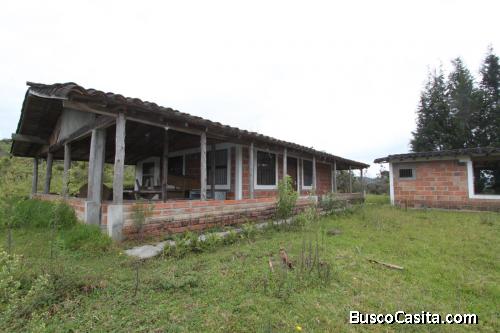 Lote industrial entre el Aeropuerto y el hipódromo