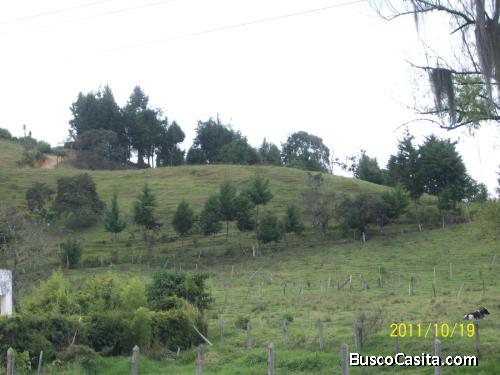 Lote industrial por la entrada a Bella Vista