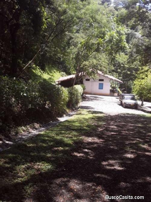 TIERRA GANADERA SUROESTE HISPANIA ANTIOQUIA