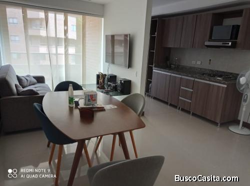 Apartamento Amoblado en Venta Parque Principal 