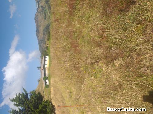 Se vende finca 5 fanegadas con buena panoramica Chocontá,