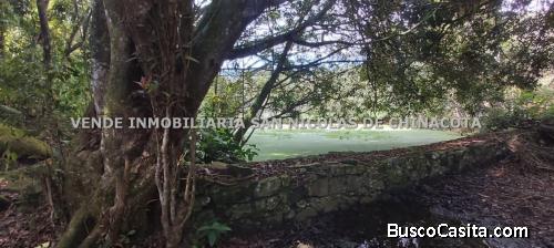 VENDO FINCA GANADERA EN DURANIA