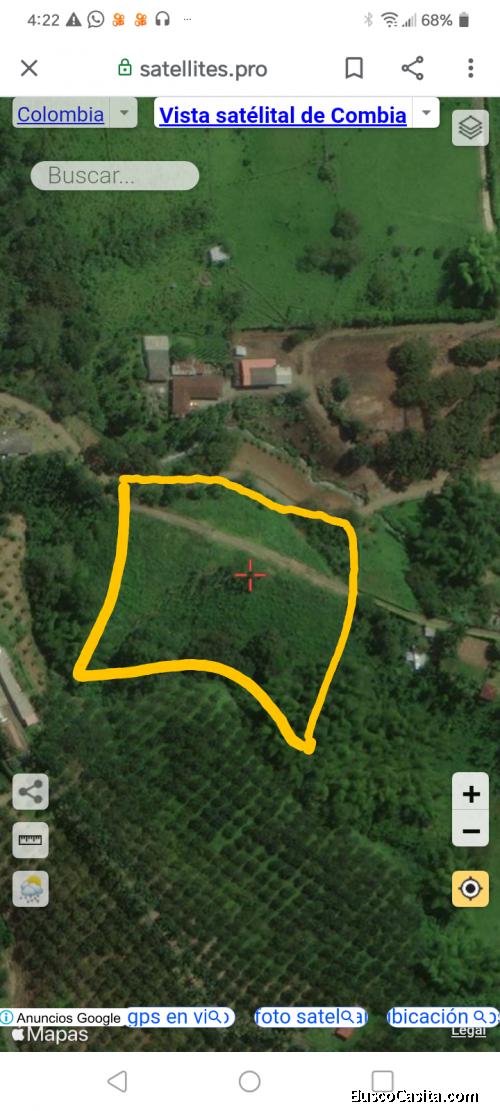 terreno productivo