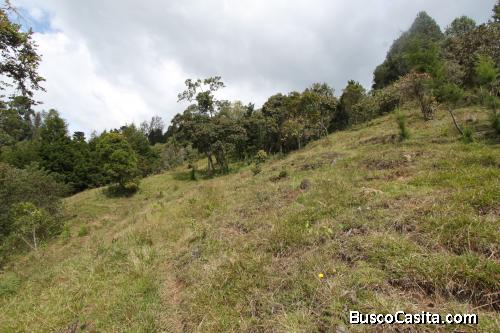 Lote en Guarne, vereda El Molino