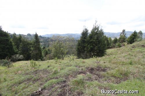 Lote en Guarne, vereda El Molino