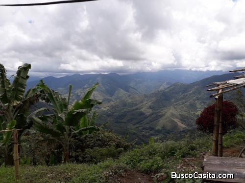 FINCA PRODUCTIVA EN BALBOA RISARALDA