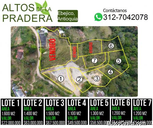 PARCELACION ALTOS DE LA PRADERA LOTES CON EXCELENTE VISTA